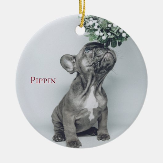 Aangepast Ornament van Puppy Dog Pet Photo Ceramic (Voorkant)