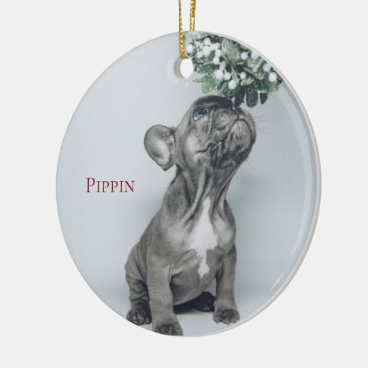 Aangepast Ornament van Puppy Dog Pet Photo Ceramic (Links)