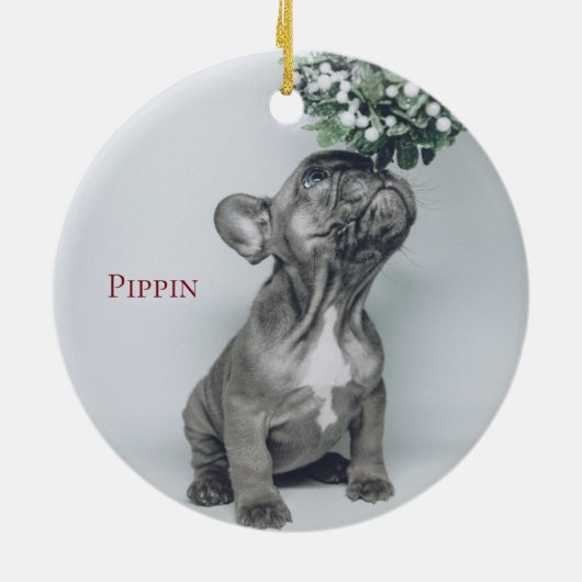 Aangepast Ornament van Puppy Dog Pet Photo Ceramic (Achterkant)