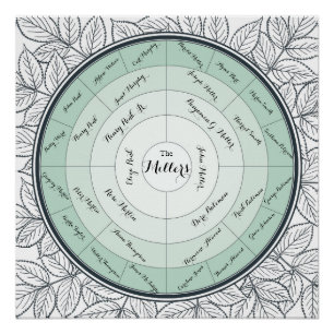 Aangepast overzicht van reeks 4 Pedigree van gener