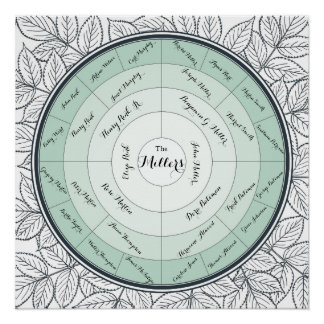 Aangepast overzicht van reeks 4 Pedigree van gener