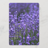 Aangepast paars lavendel trouwmenu menu (Achterkant)