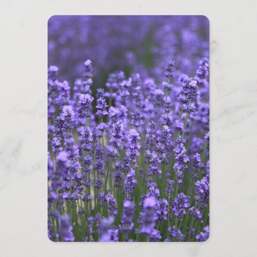 Aangepast paars lavendel trouwmenu menu (Achterkant)