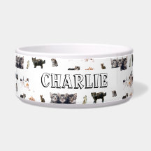 Aangepast patroon met foto's van katten en kittens