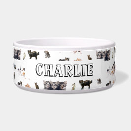 Aangepast patroon met foto's van katten en kittens voerbakje