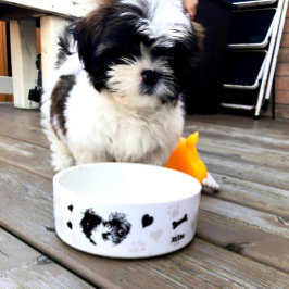 Aangepast pictogram Shih Tzu Modern Pup pop Dog Bo Voerbakje
