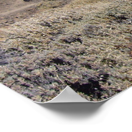 Aangepast poster El Teide (Hoek)