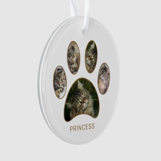 Aangepast potje Afdrukkat Naam Jaar Foto Collage Ornament (voorkant)