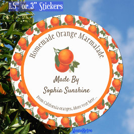 Aangepast retro Sinaasappels patroon Ronde Sticker
