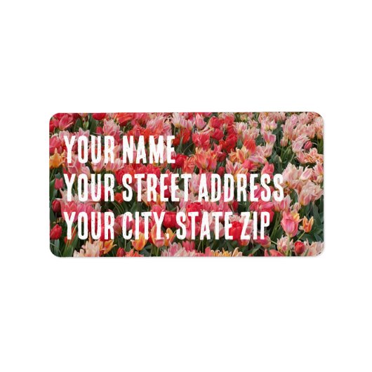 Aangepast roze onderbuisje etiket (Voorkant)