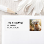 Aangepast Schattige Maltees hondenadreslabel Etiket (Insitu)