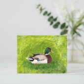 Aangepast schilderen van Mallard Duck-Briefkaarten Briefkaart (Staand voorkant)