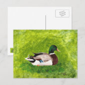 Aangepast schilderen van Mallard Duck-Briefkaarten Briefkaart (Voorkant / Achterkant)