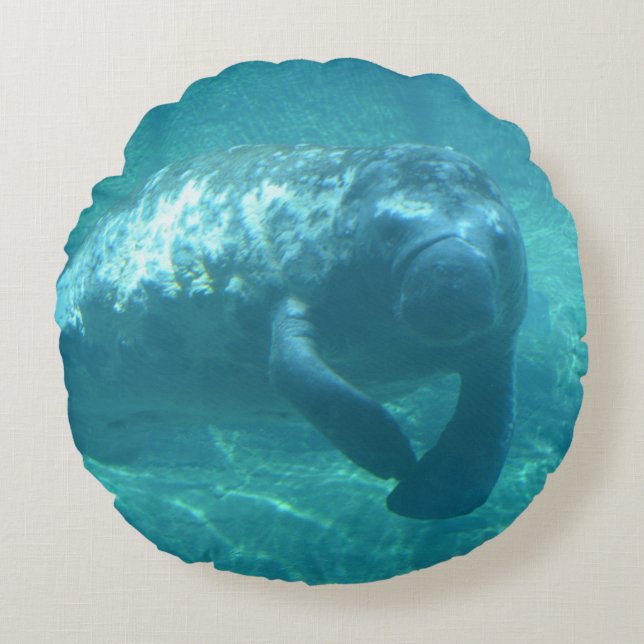 Aangepast Sierkussen voor een katoenronde klasse ( Rond Kussen (Voorkant)