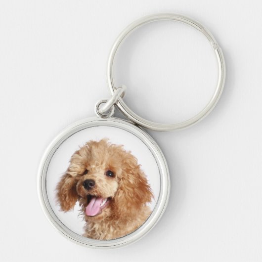 Aangepast Sleutelhanger voor Abritish Poodle Puppy (Voorkant)