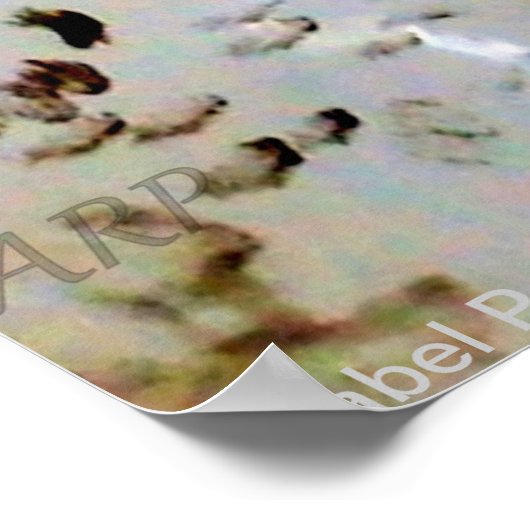 Aangepast spaniel spaniel Pet Poster (Hoek)