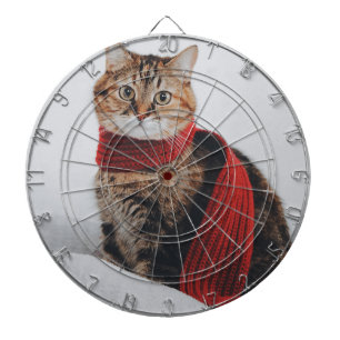 Aangepast speciaal aangepast dartboard voor foto's dartbord