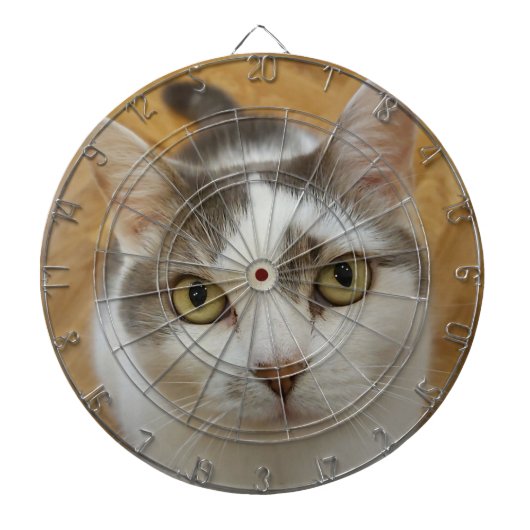 Aangepast speciaal aangepast dartboard voor foto's dartbord (Voorkant)