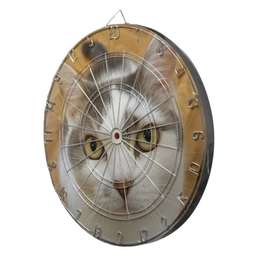 Aangepast speciaal aangepast dartboard voor foto's dartbord (Voorkant Rechts)