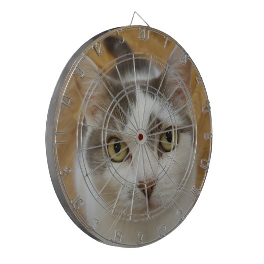 Aangepast speciaal aangepast dartboard voor foto's dartbord (Voorkant Links)