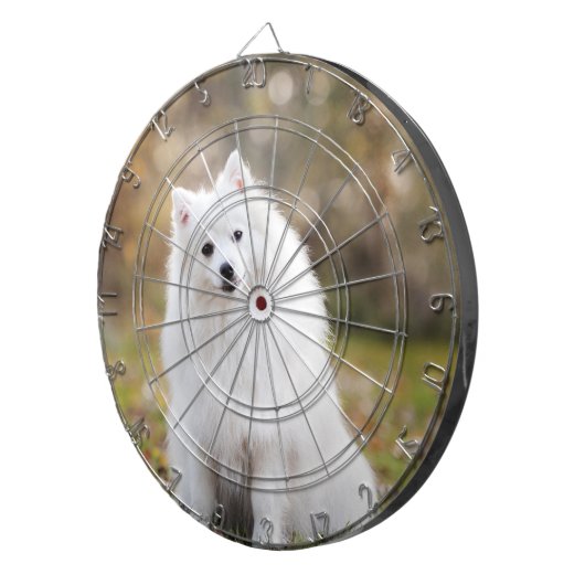 Aangepast speciaal aangepast dartboard voor foto's dartbord (Voorkant Rechts)