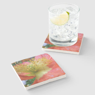 Aangepast Stenen Onderzetter