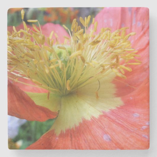 Aangepast Stenen Onderzetter (Voorkant)