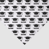 Aangepast tassel-pet voor groep voor middelbare sc tissuepapier (Detail)