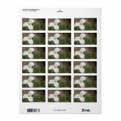 Aangepast trillium-label etiket (Full Sheet)