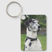 Aangepast twee foto dubbelzijdige aluminium Sleute Sleutelhanger (Voorkant)