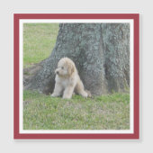 Aangepast vierkant fotosjabloon Cute Red Lijst Mag (Voorkant)