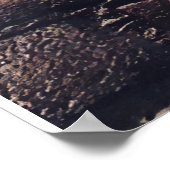 Aangepast voor mijn koffertje en leeuwenmandje poster (Hoek)