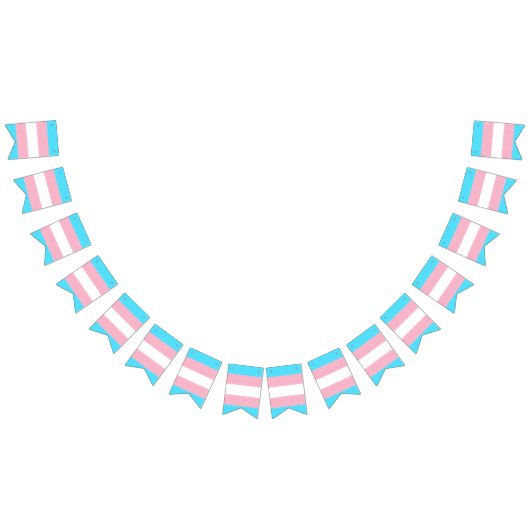 Aangepast voor transgenderprijs vlaggetjes (Alle)