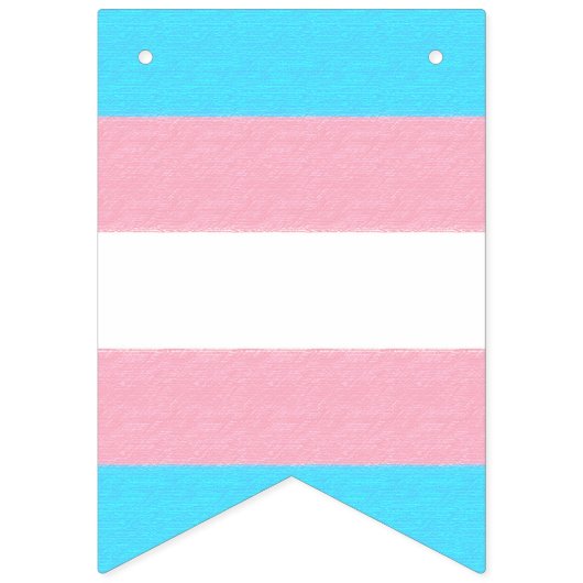 Aangepast voor transgenderprijs vlaggetjes (Tweede vlag)