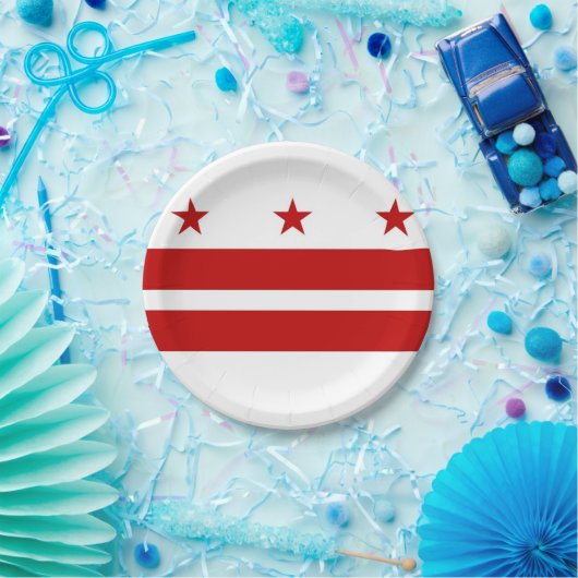 Aangepast Washington DC Papieren Bordje (Feest)