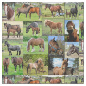 Aangepast weefsel van paardenlover stof (Close Up)