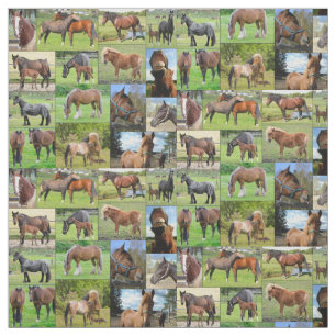 Aangepast weefsel van paardenlover stof