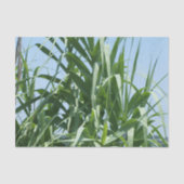 Aangepast weefselpapier tissuepapier (Voorkant)