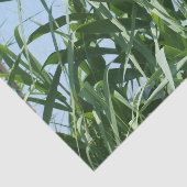 Aangepast weefselpapier tissuepapier (Detail)