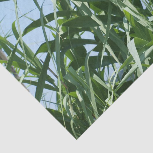 Aangepast weefselpapier tissuepapier (Detail)