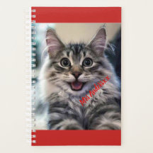 Aangepast wekelijks en maandelijks