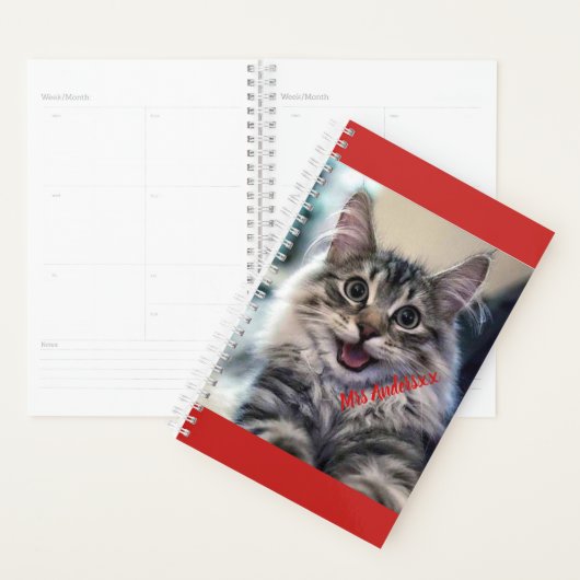 Aangepast wekelijks en maandelijks planner (Display)