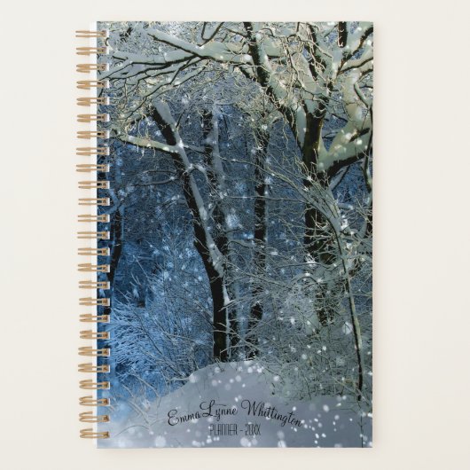 Aangepast wekelijks, maandelijks Snowy Winter Sun  Planner (Voorkant)
