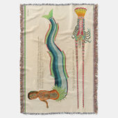 Aangepast zeemeerminnend zeemacht deken (Voorkant Verticaal)