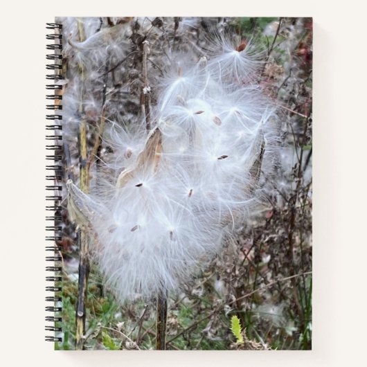 Aangepast zijdezaad notitieboek (Voorkant)