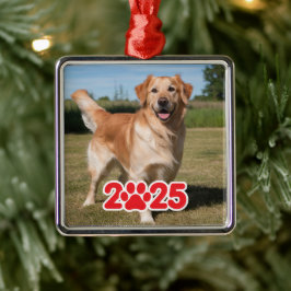 Aangepaste 2025 Pet Foto Metalen Ornament