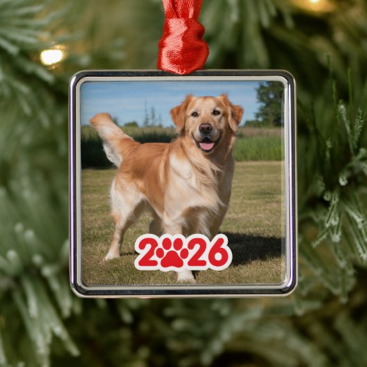 Aangepaste 2026 Pet Foto Metalen Ornament (Boom)