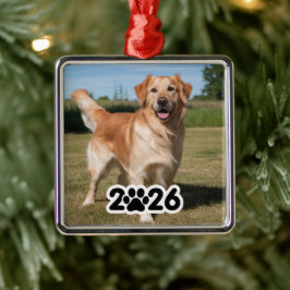 Aangepaste 2026 Pet Foto Metalen Ornament