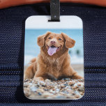 Aangepaste 2 foto Aangepast Creëer Uw eigen hond Bagagelabel<br><div class="desc">Aangepast foto-bagagelabel van je beste vriend. Creëer een leuk cadeau voor je favoriete hondenliefhebber, hondenmoeder of hondenvader. Of het nu gaat om Moederdag, vaderdag, verjaardag of Kerstmis, deze foto-bagagelabels maken een perfect geschenk, en leuke poppen! COPYRIGHT © 2020 Judy Burrows, Black Dog Art - Alle rechten voorbehouden. Aangepaste 2 foto...</div>