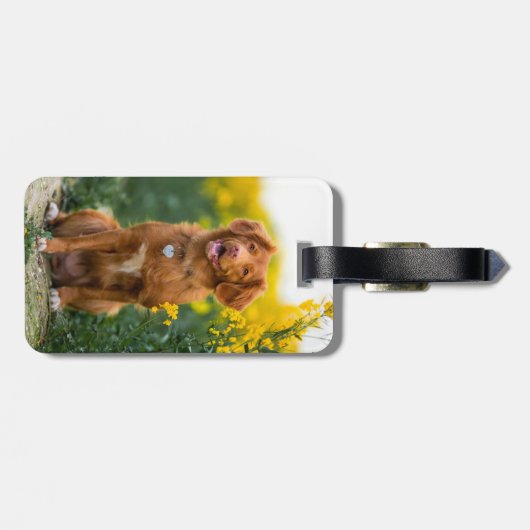 Aangepaste 2 foto Aangepast Creëer Uw eigen hond Bagagelabel (Achterkant horizontaal)